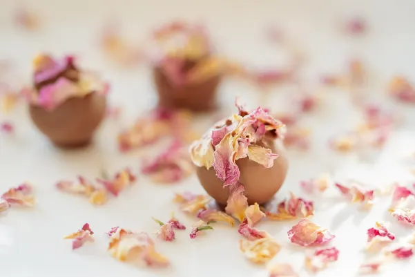 Bet9 Kasyno Aplikacja Android/iOS